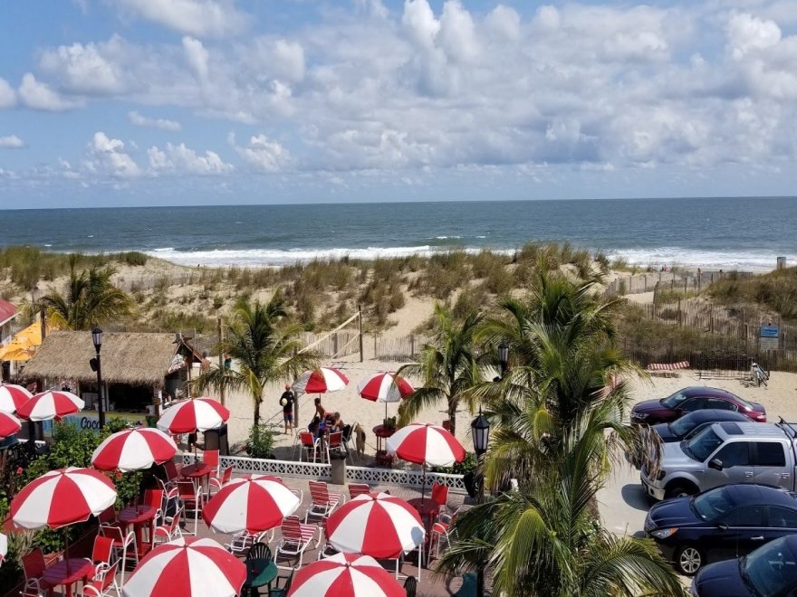 Coconuts Beach Bar & Grill Coconuts Beach Bar & Grill