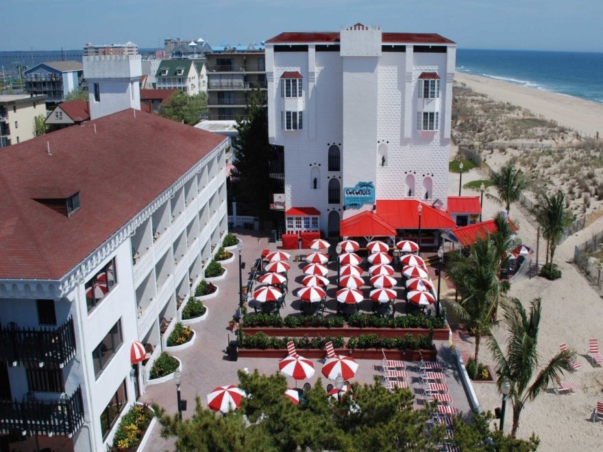 Coconuts Beach Bar & Grill Coconuts Beach Bar & Grill