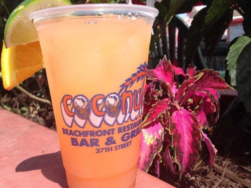 Coconuts Beach Bar & Grill Coconuts Beach Bar & Grill