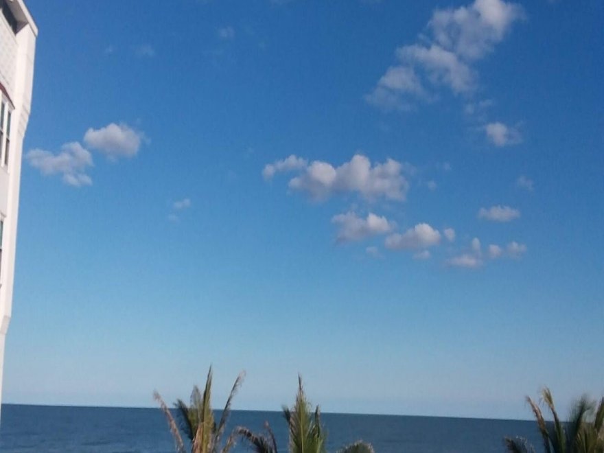 Coconuts Beach Bar & Grill Coconuts Beach Bar & Grill