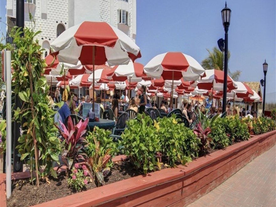 Coconuts Beach Bar & Grill Coconuts Beach Bar & Grill