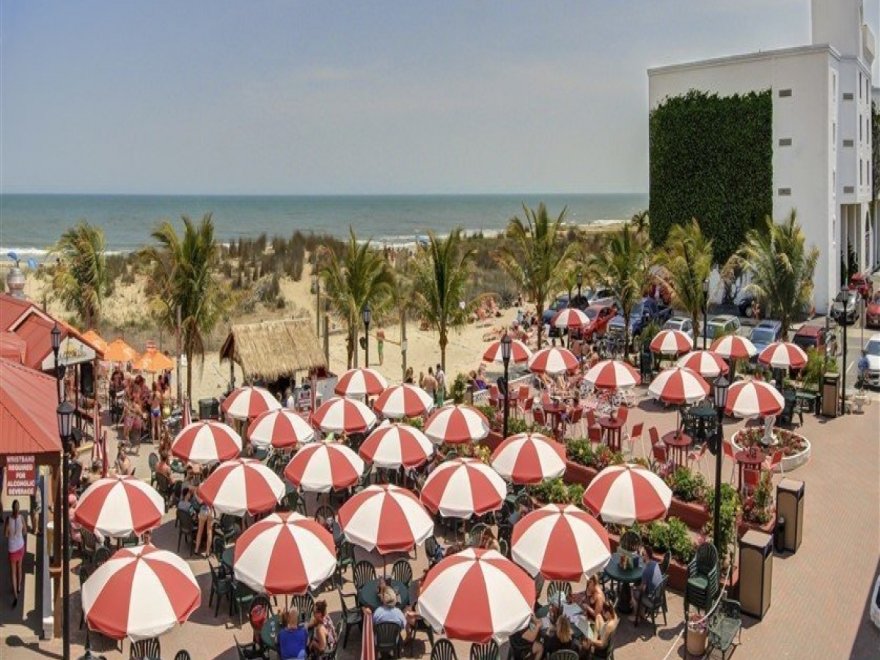 Coconuts Beach Bar & Grill Coconuts Beach Bar & Grill