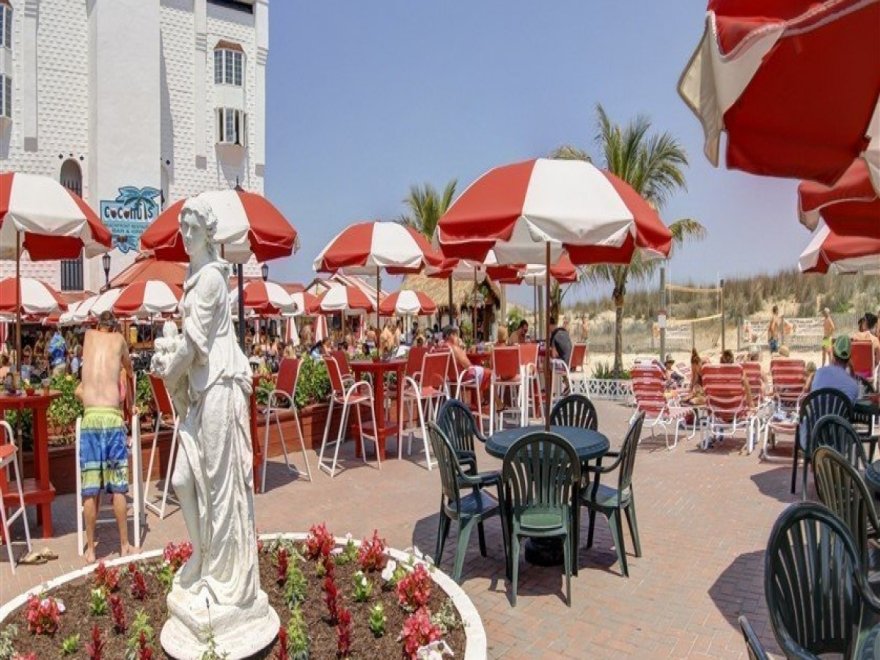 Coconuts Beach Bar & Grill Coconuts Beach Bar & Grill