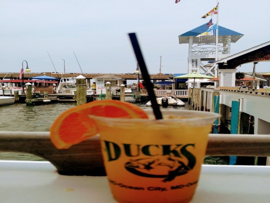 M.R. Ducks M.R. Ducks