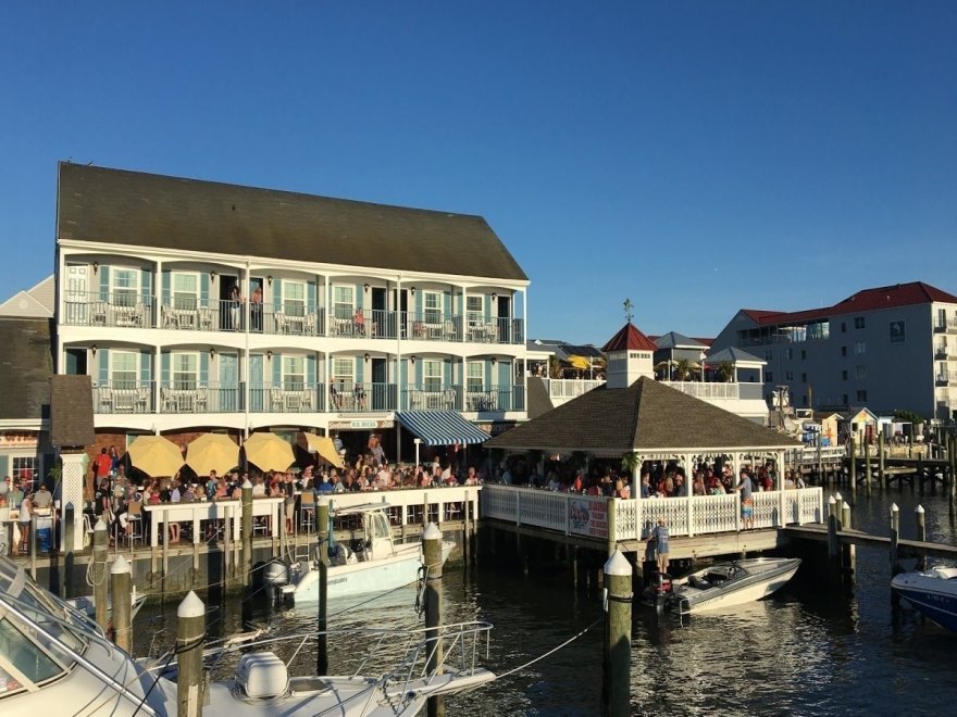 M.R. Ducks M.R. Ducks