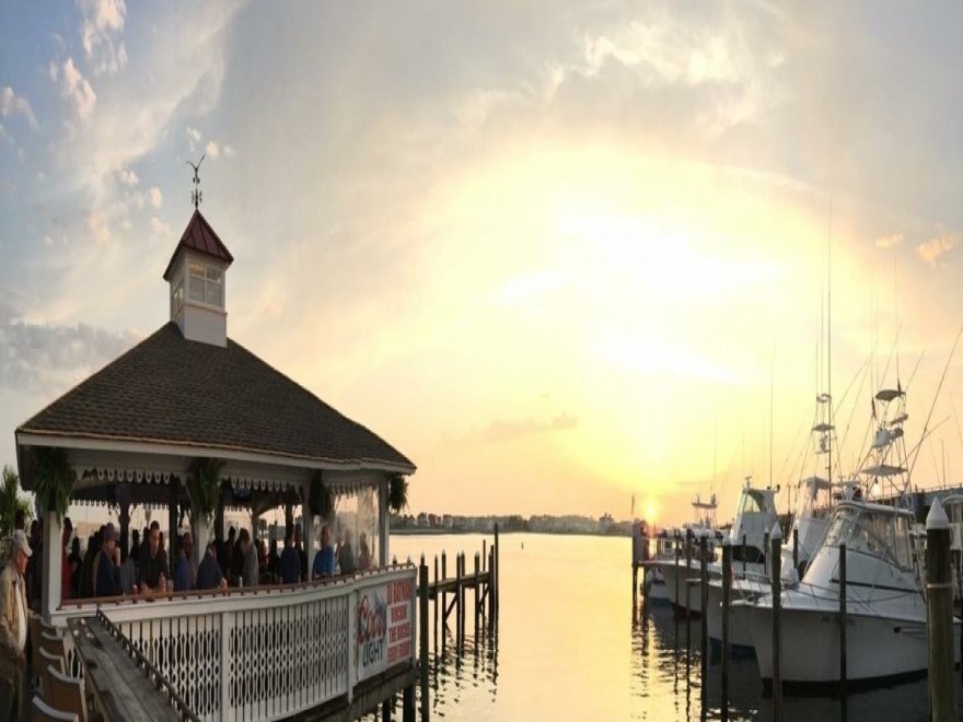 M.R. Ducks M.R. Ducks