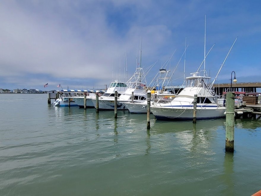 M.R. Ducks M.R. Ducks