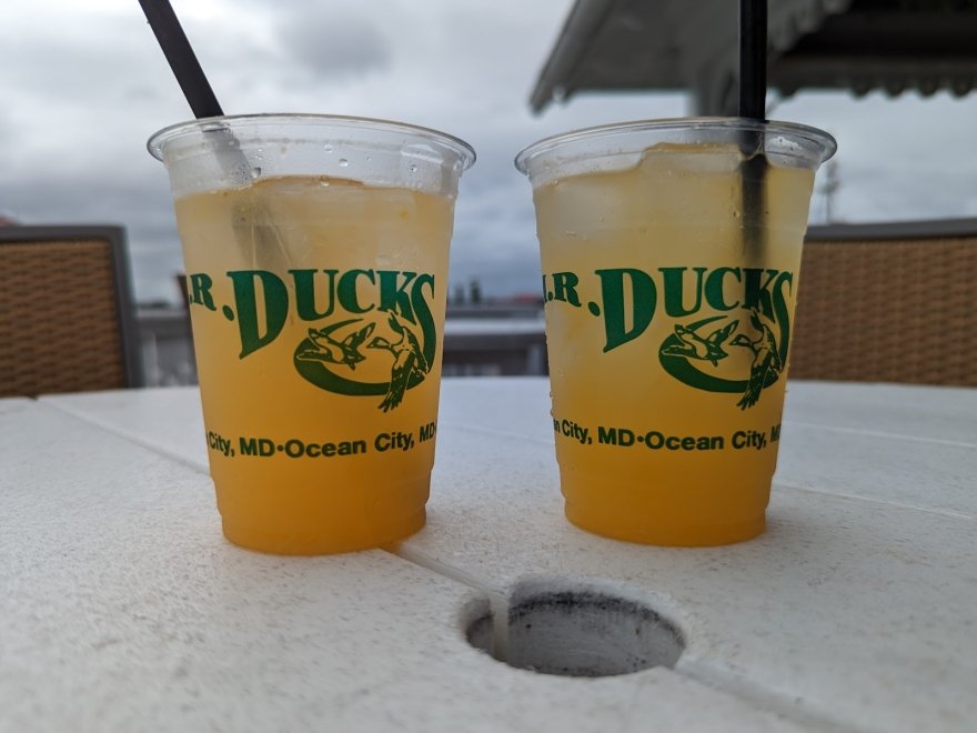 M.R. Ducks M.R. Ducks