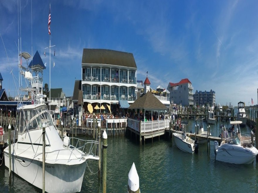 M.R. Ducks M.R. Ducks