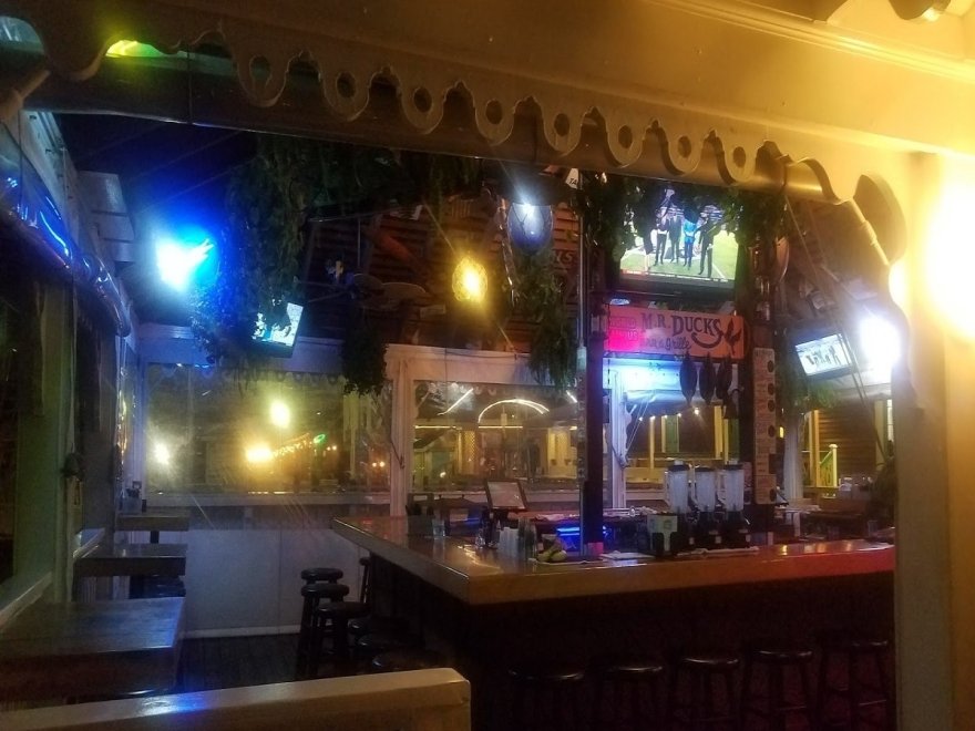 M.R. Ducks M.R. Ducks