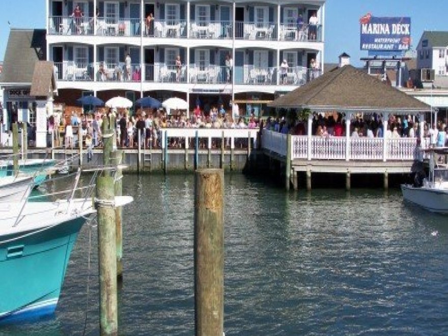 M.R. Ducks M.R. Ducks