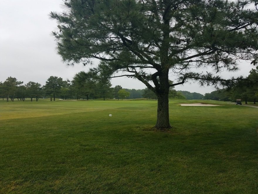 Eagle's Landing Golf Course