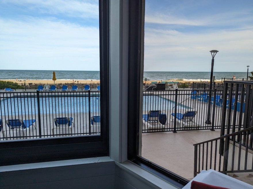 The Jungle Bar & Restaurant