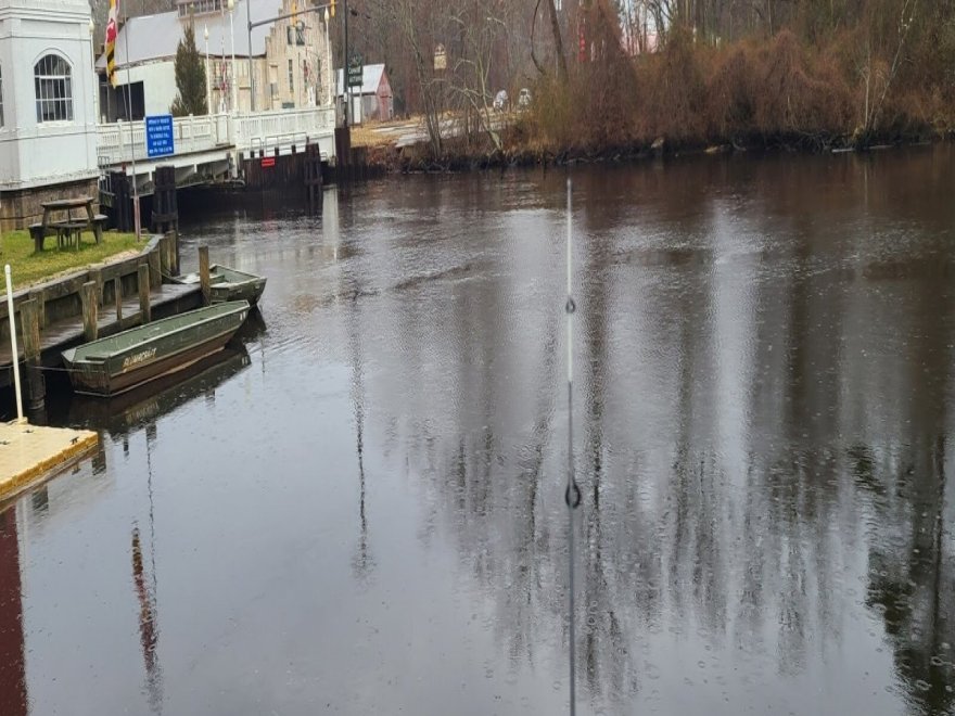 Pocomoke River Canoe Company